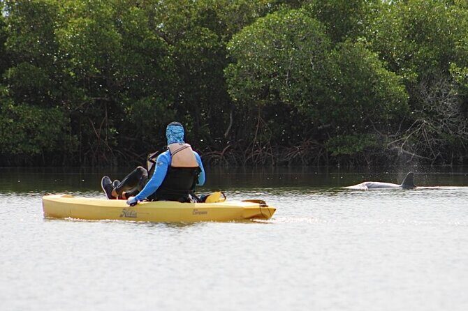 Easy Ride Pedal Kayak Tour Marco Island & Naples (Pedal or Paddle - An In-Depth Look at the Mangrove Eco Tour