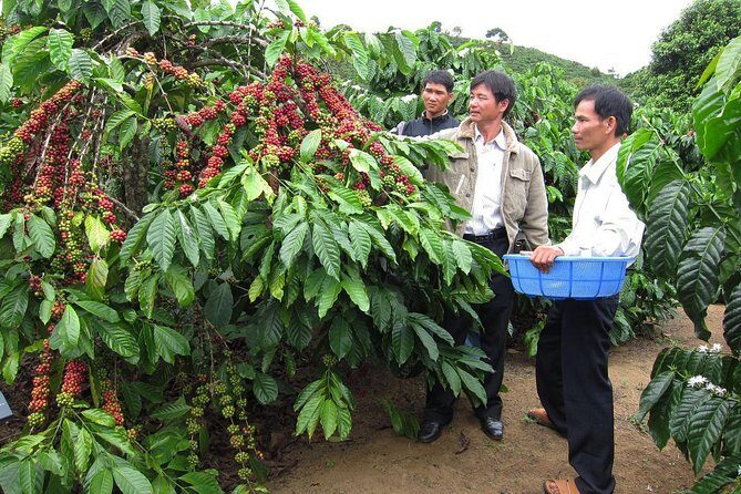 Easy Riders Buon Ma Thuot - Daily Tour. - Why We Think It’s a Good Choice