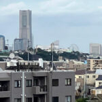 Eat like a local in Yokohama - with a Local Expert Guide! - Who Will Love This Tour?