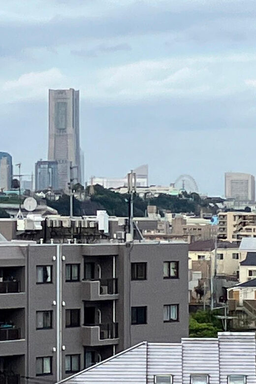 Eat like a local in Yokohama - with a Local Expert Guide! - Who Will Love This Tour?