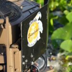 Eco Adventure Scenic Wildlife Boat Cruise - FAQs