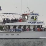 Eco and Dolphin Watch Tour of South Padre Island - Practical Information for Your Trip