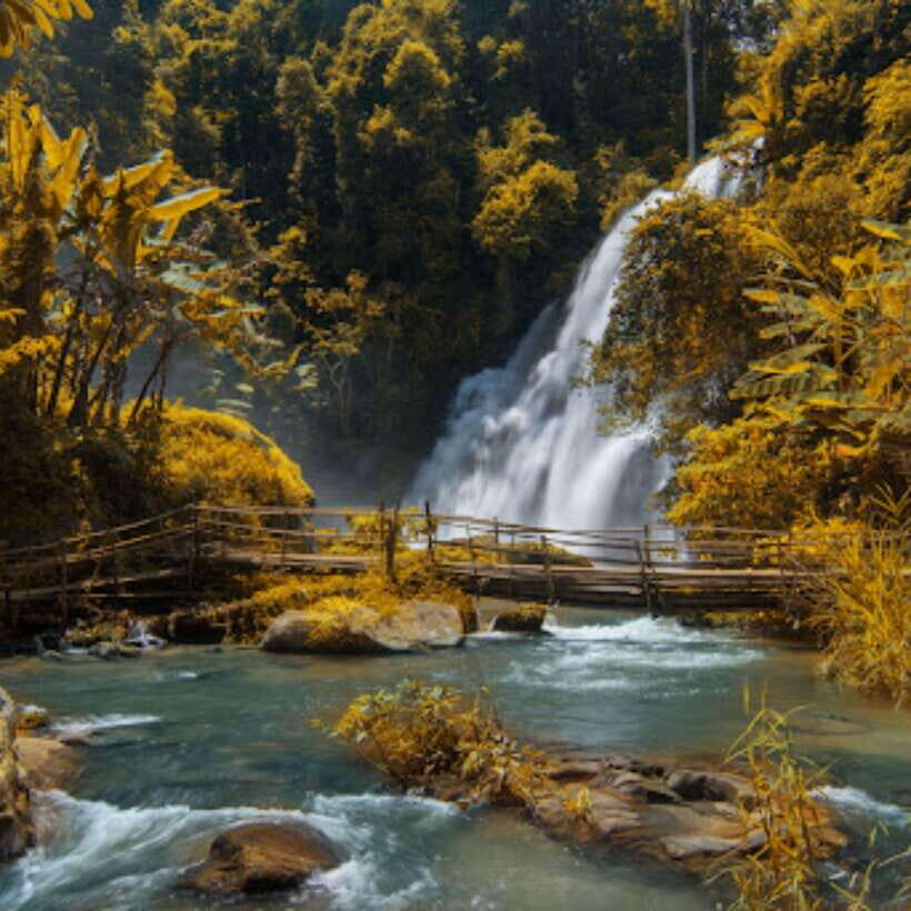 Eco-Friendly: Doi Inthanon & Pha Dok Siew Trekking Day Trip - The Trek and Nature Highlights