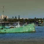 Egmont Key Snorkeling Dolphin Tour - What You’ll Experience on the Day