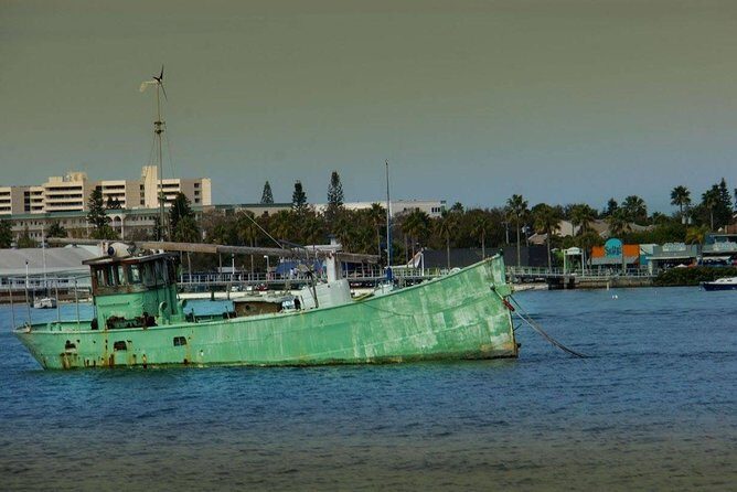 Egmont Key Snorkeling Dolphin Tour - What You’ll Experience on the Day