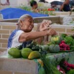 Ek Balam Valladolid and Cenote Day Trip with Lunch - Authentic Experiences and Practical Tips