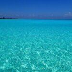El Cielo Cozumel Snorkeling Tour - All-Inclusive - Practical Tips for Tour-Day Success