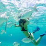 El Cielo Snorkel by Private Boat - Itinerary Breakdown: What to Expect