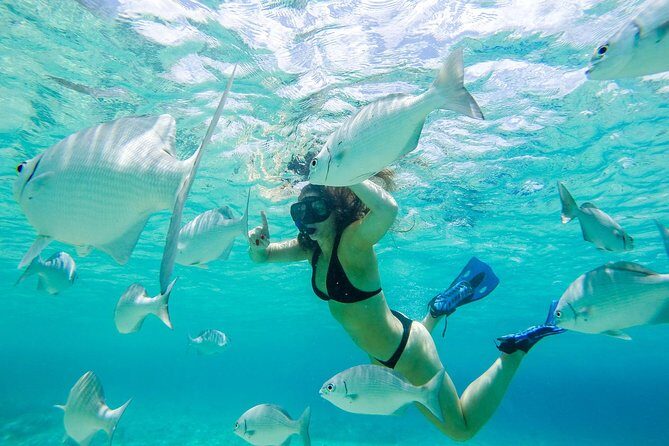 El Cielo Snorkel by Private Boat - Itinerary Breakdown: What to Expect