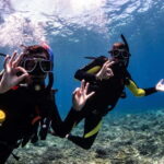 El Nido: Deep Blue Dive Seafari Experience - What Makes This Tour Stand Out?