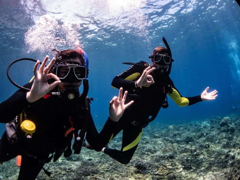 El Nido: Deep Blue Dive Seafari Experience - What Makes This Tour Stand Out?