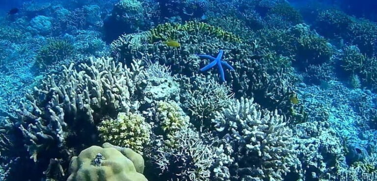 El Nido, Sibaltan: Private Snorkeling & Secret Islands Tour - Final Thoughts