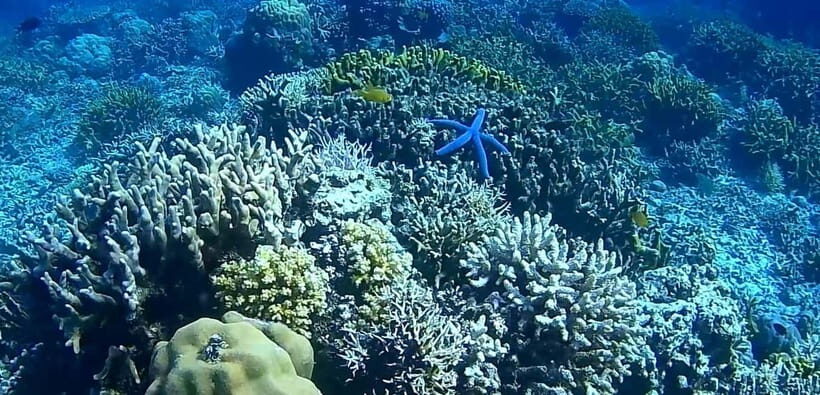 El Nido, Sibaltan: Private Snorkeling & Secret Islands Tour - Final Thoughts