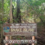 El Nido: Tour B with Snake Island, Cudugnon Cave, and More - Exploring Cudugnon Cave