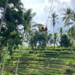 Electric Bike and Swing Package - The Practicalities: What You Need to Know