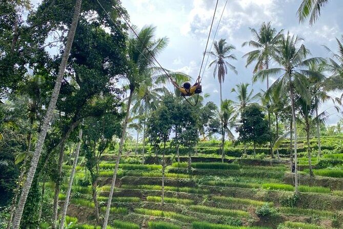 Electric Bike and Swing Package - The Practicalities: What You Need to Know