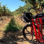 Electric Bike Rental in Livermore - Why It’s a Great Value