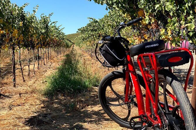 Electric Bike Rental in Livermore - Why It’s a Great Value