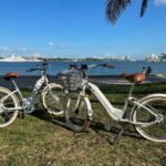 Electric Bike Rental Miami Beach - The Sum Up