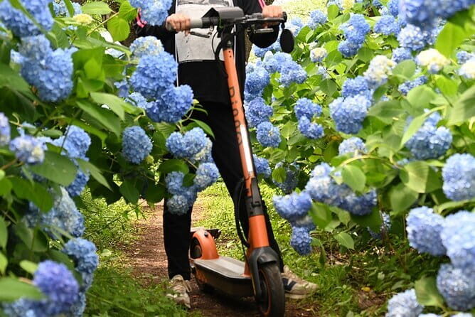 Electric Scooter&Bike Rental in Okinawa - Frequently Asked Questions