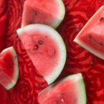 Elefun Best Elephant Sanctuary in Jaipur - The Experience for Different Travelers