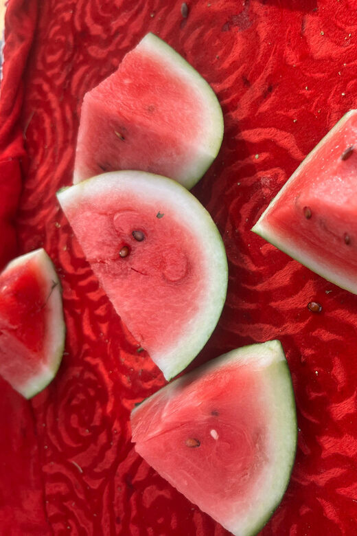 Elefun Best Elephant Sanctuary in Jaipur - The Experience for Different Travelers