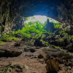 Elephant cave and Mada valley Jungle trek - 1Day - Who Is This Tour Best For?