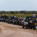 Elephant Jeep Safari at Minneriya National Park - The Value of the Minneriya Safari