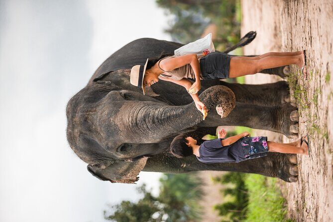 Elephant Jungle Sanctuary: Half Day Morning Program - FAQs