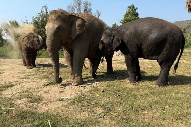 Elephant Sanctuary, Wat Ban Den & Sticky Waterfall - Wat Ban Den: A Hidden Gem of Northern Thai Architecture