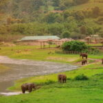 Elephant Sanctuary + Waterfall + Bamboo Rafting One Day Trip - Who Should Book This Tour?