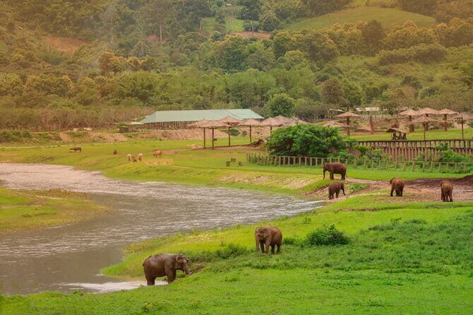 Elephant Sanctuary + Waterfall + Bamboo Rafting One Day Trip - Who Should Book This Tour?