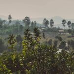 Elephant Sightings , Bamboo Rafting Through The Jungle, Swimming In a Waterfall - The Sum Up