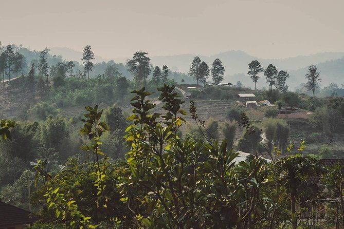 Elephant Sightings , Bamboo Rafting Through The Jungle, Swimming In a Waterfall - The Sum Up