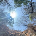 Elephanta Caves Private Guide on Island - Why This Tour Offers Great Value