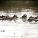 Elkhorn Slough Wildlife Tour - Final Thoughts