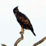 Ella: 1 Day tour to Badulla / Haputale / Mahiyanganaya - In-Depth Look at the Tour Experience