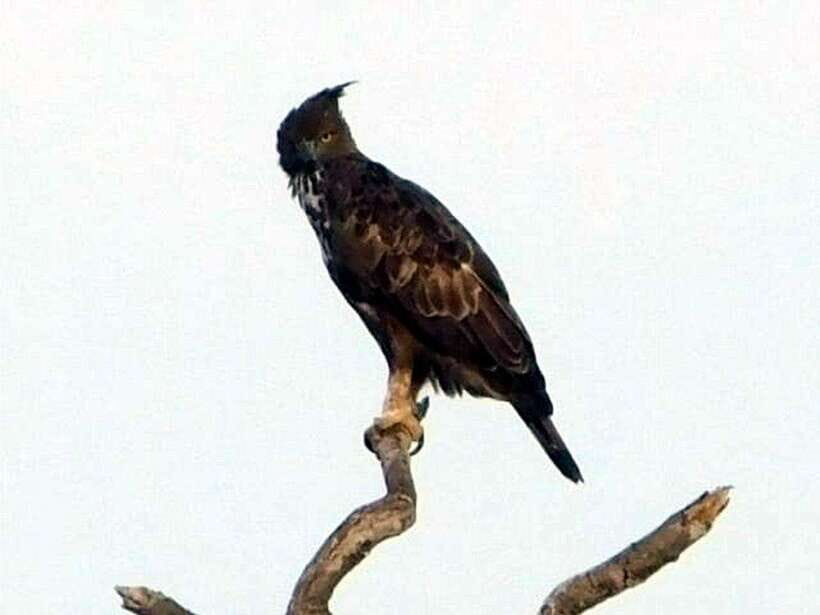 Ella: 1 Day tour to Badulla / Haputale / Mahiyanganaya - In-Depth Look at the Tour Experience