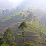 Ella: 3-Day Private Tour with Hotel and Breakfast - FAQs