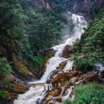 Ella: Adventure day trip to explore Ella by tuk tuk - Who Will Love This Tour?