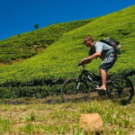 Ella Cycling Tour - A Deep Look Into the Ella Cycling Tour