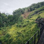 Ella Day Tour: with Tea Factory Visit from Colombo/Bentota - An In-Depth Look at the Ella Day Tour