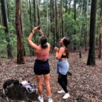 Ella: Ella Rock, 9 Arch, Little Adams Peak, & Waterfall Tour - Authentic Experiences and Local Insights