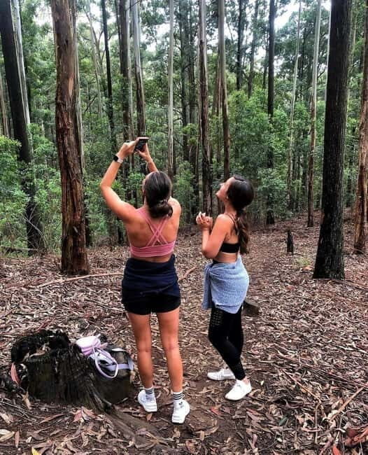 Ella: Ella Rock, 9 Arch, Little Adams Peak, & Waterfall Tour - Authentic Experiences and Local Insights