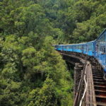 Ella Hill Country Tour : A Perfect Day Tour in Sri Lanka - Valuing Your Investment