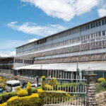 Ella: Lipton's Seat Tour with Dambetanna Tea Factory Visit - In-Depth Review: What to Expect and Why It Matters