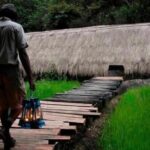 Ella Sir Lanka Most Beautiful Train Ride In the World by Jason - What’s Included and What to Expect