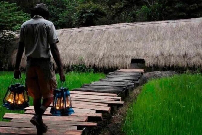 Ella Sir Lanka Most Beautiful Train Ride In the World by Jason - What’s Included and What to Expect