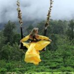 Ella Swing - Why Choose Ella Swing?