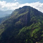 Ella: Tea Factory, Train, and Nine Arch Day Tour with Pickup - The Practical Side: Value, Comfort, and Potential Drawbacks